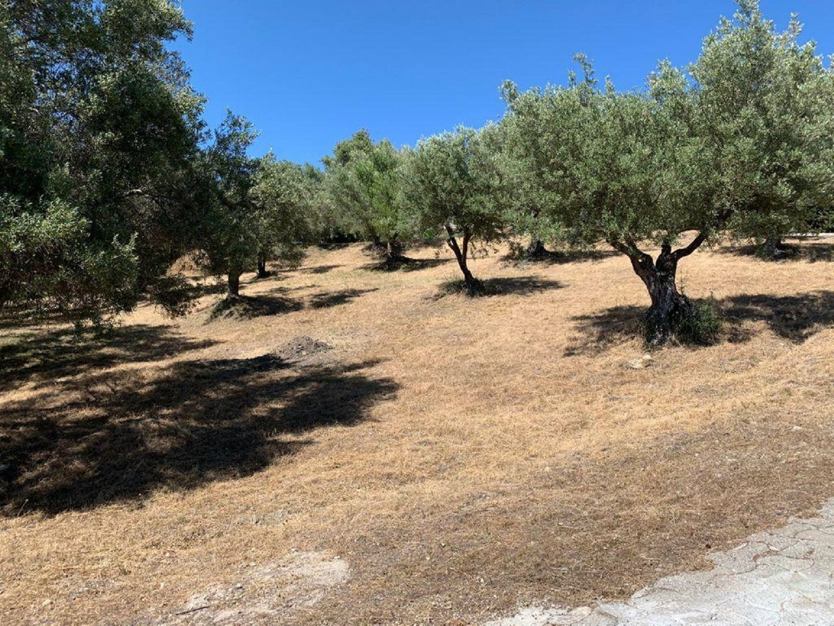 Plots for sale in Elviria Costa Del Sol, Málaga, Spain