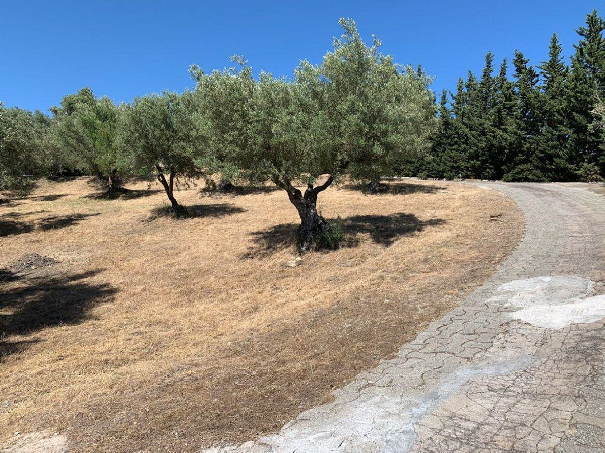 Plots for sale in Elviria Costa Del Sol, Málaga, Spain