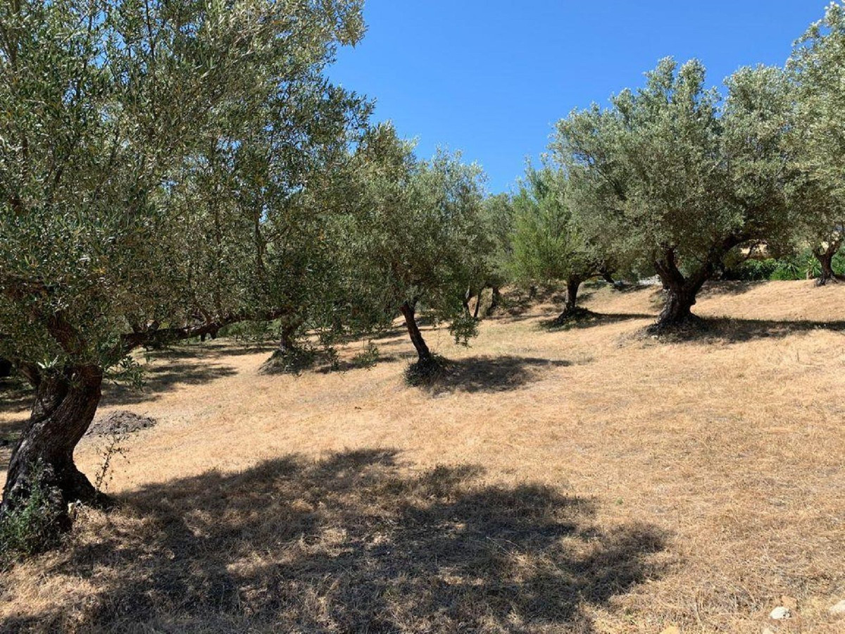 Plots for sale in Elviria Costa Del Sol, Málaga, Spain