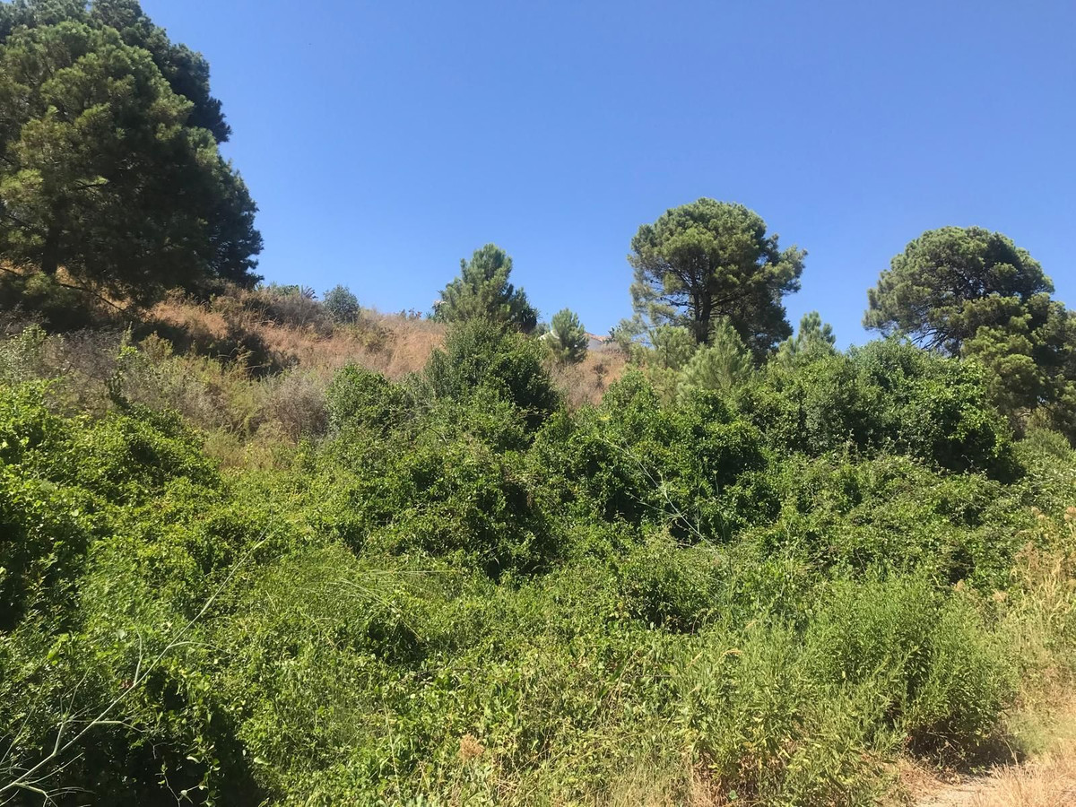 Se vende Terreno Rustico  en Costa Del Sol, Málaga, España