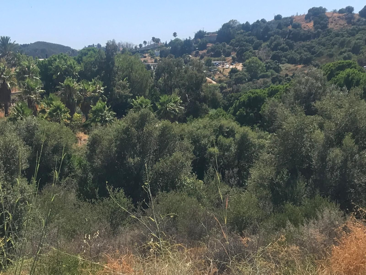 Se vende Terreno Rustico  en Costa Del Sol, Málaga, España