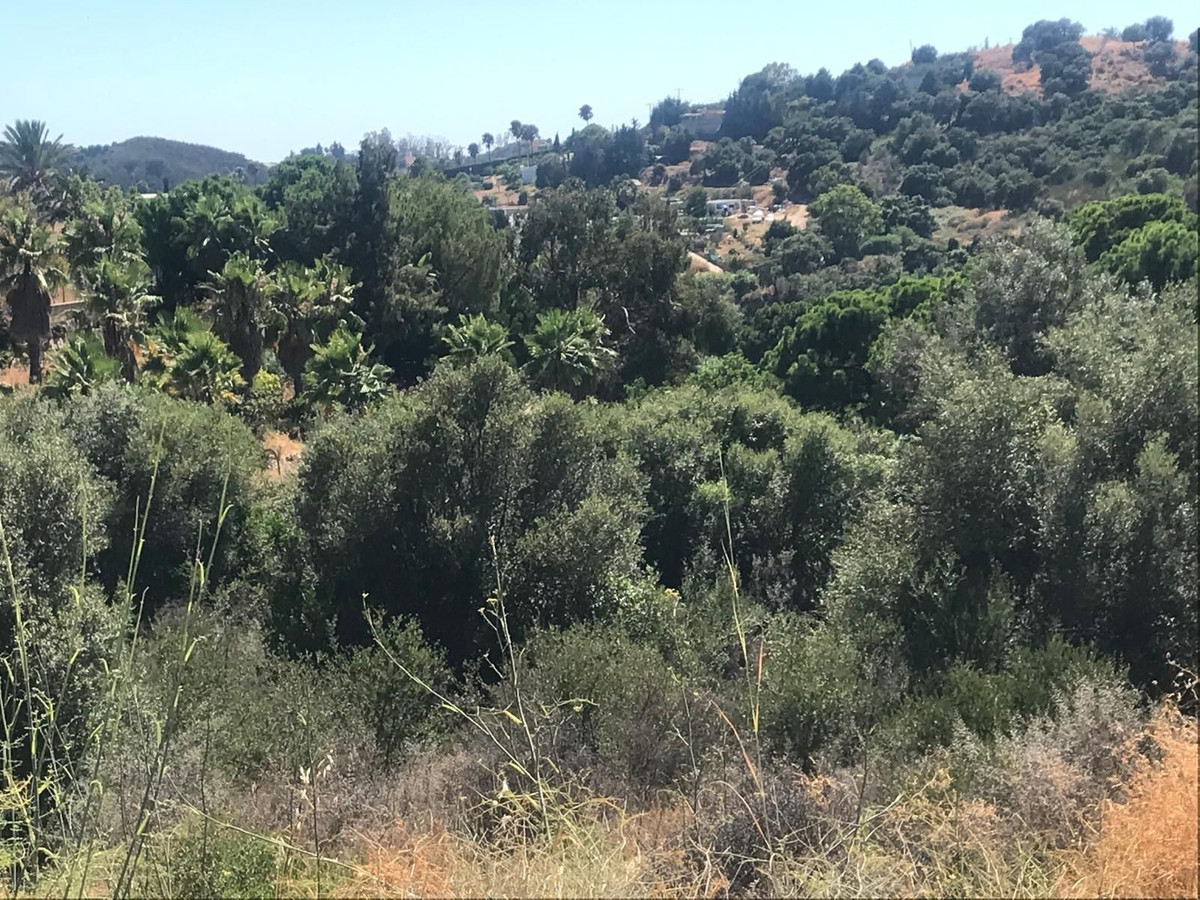 Se vende Terreno Rustico  en Costa Del Sol, Málaga, España