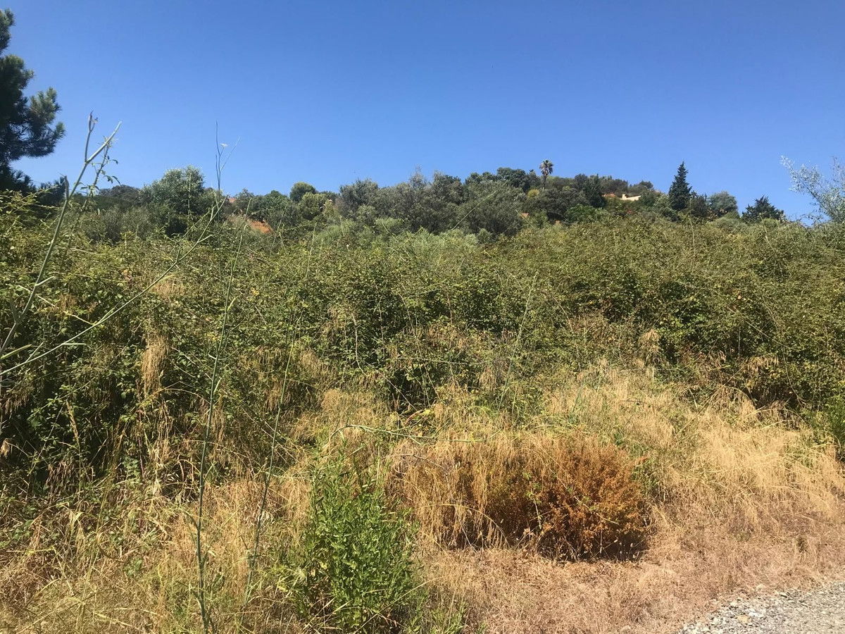 Se vende Terreno Rustico  en Costa Del Sol, Málaga, España