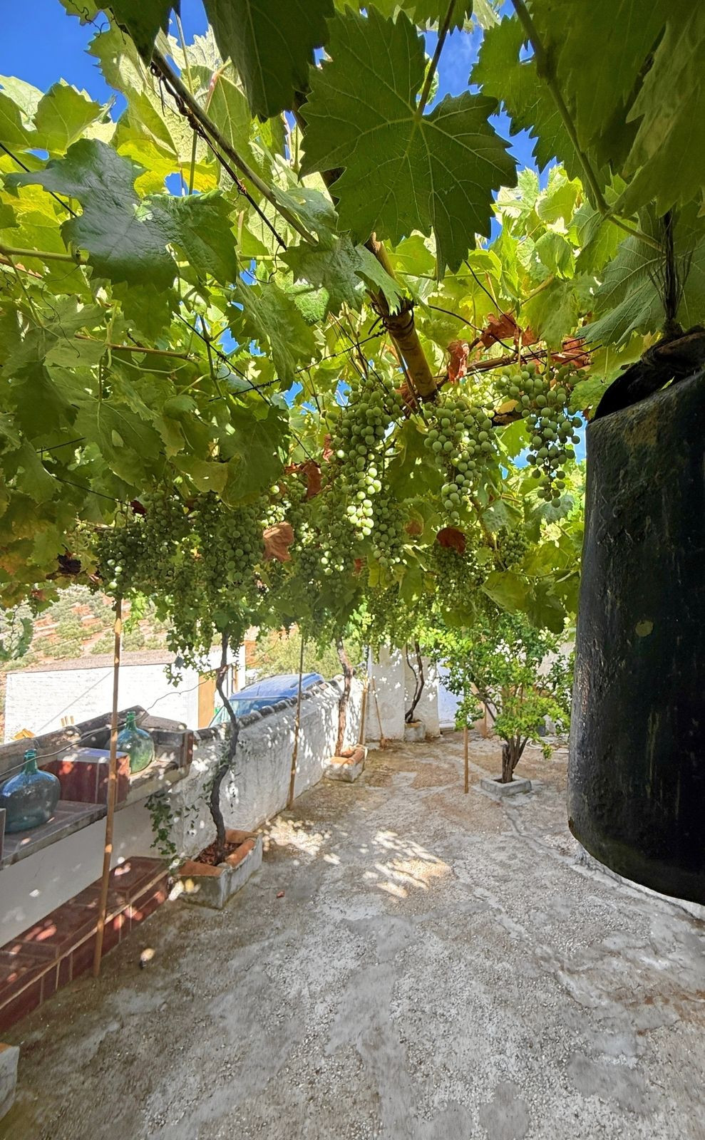 Se vende Finca - Cortijo de 5 dormitorios en Costa Del Sol, Málaga, España