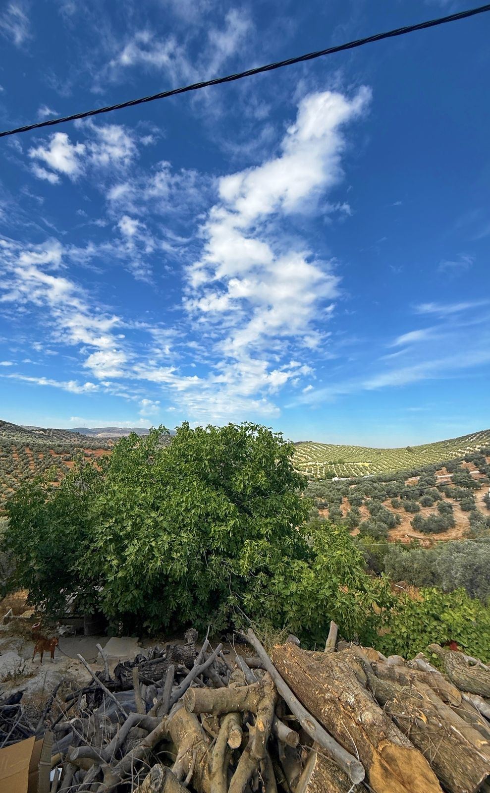 Se vende Finca - Cortijo de 5 dormitorios en Costa Del Sol, Málaga, España