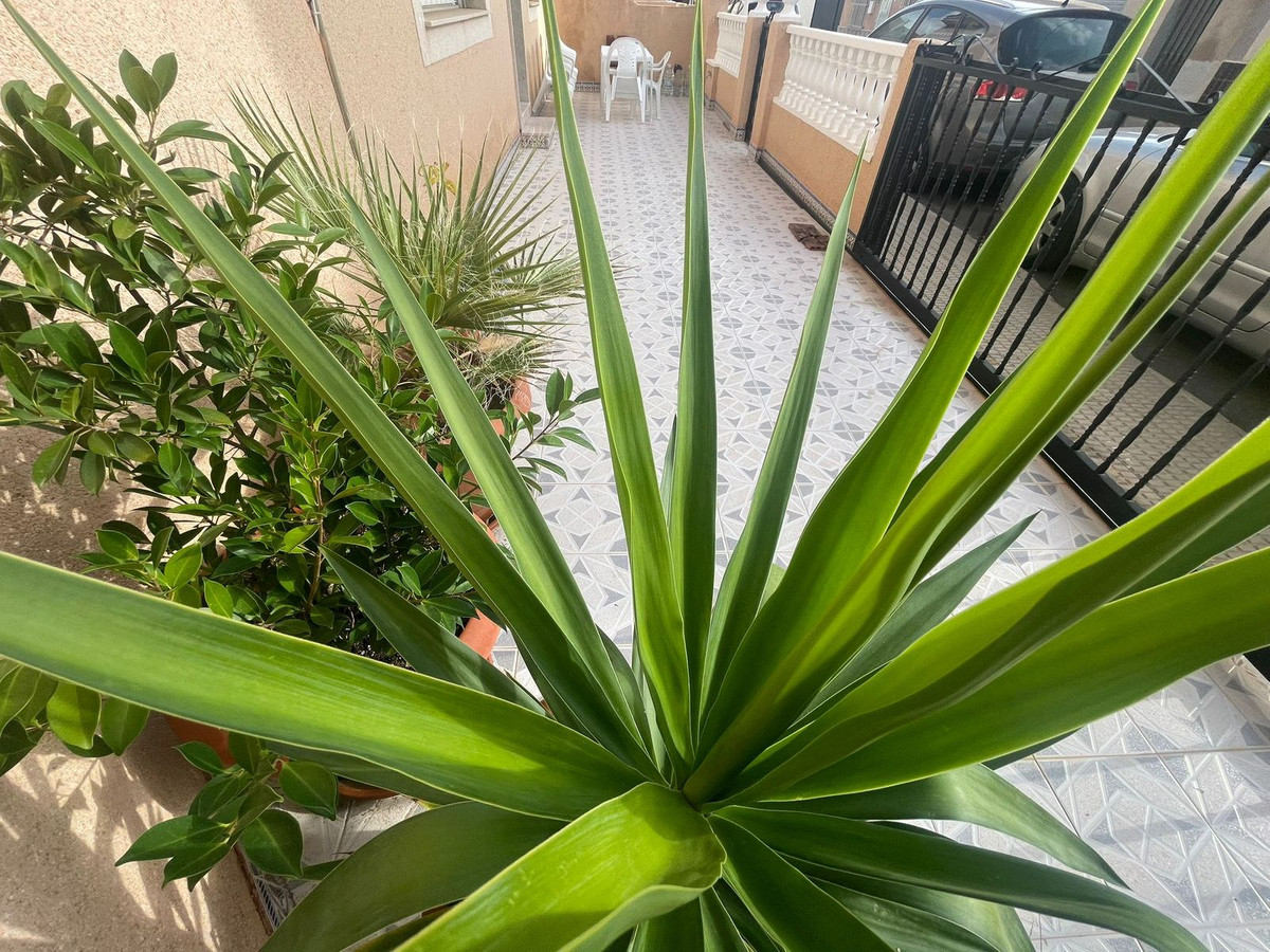 Se vende Pareada de 4 dormitorios en Costa Calida, Murcia, España