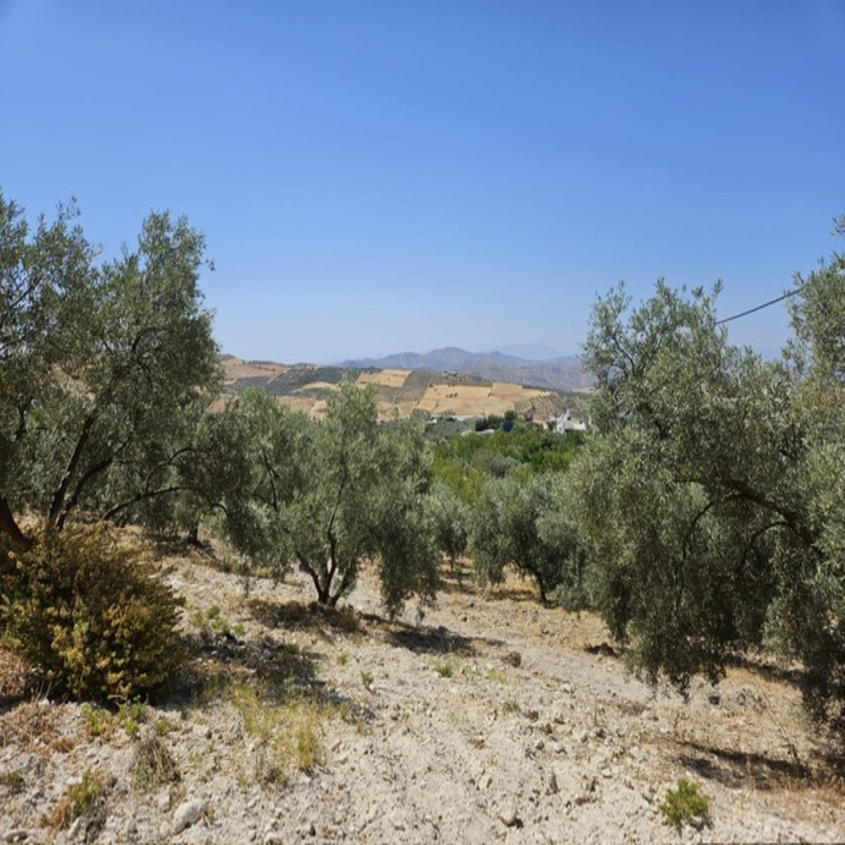 3 Bed Townhouse for sale in Villanueva De La Concepcion Costa Del Sol, Málaga, Spain