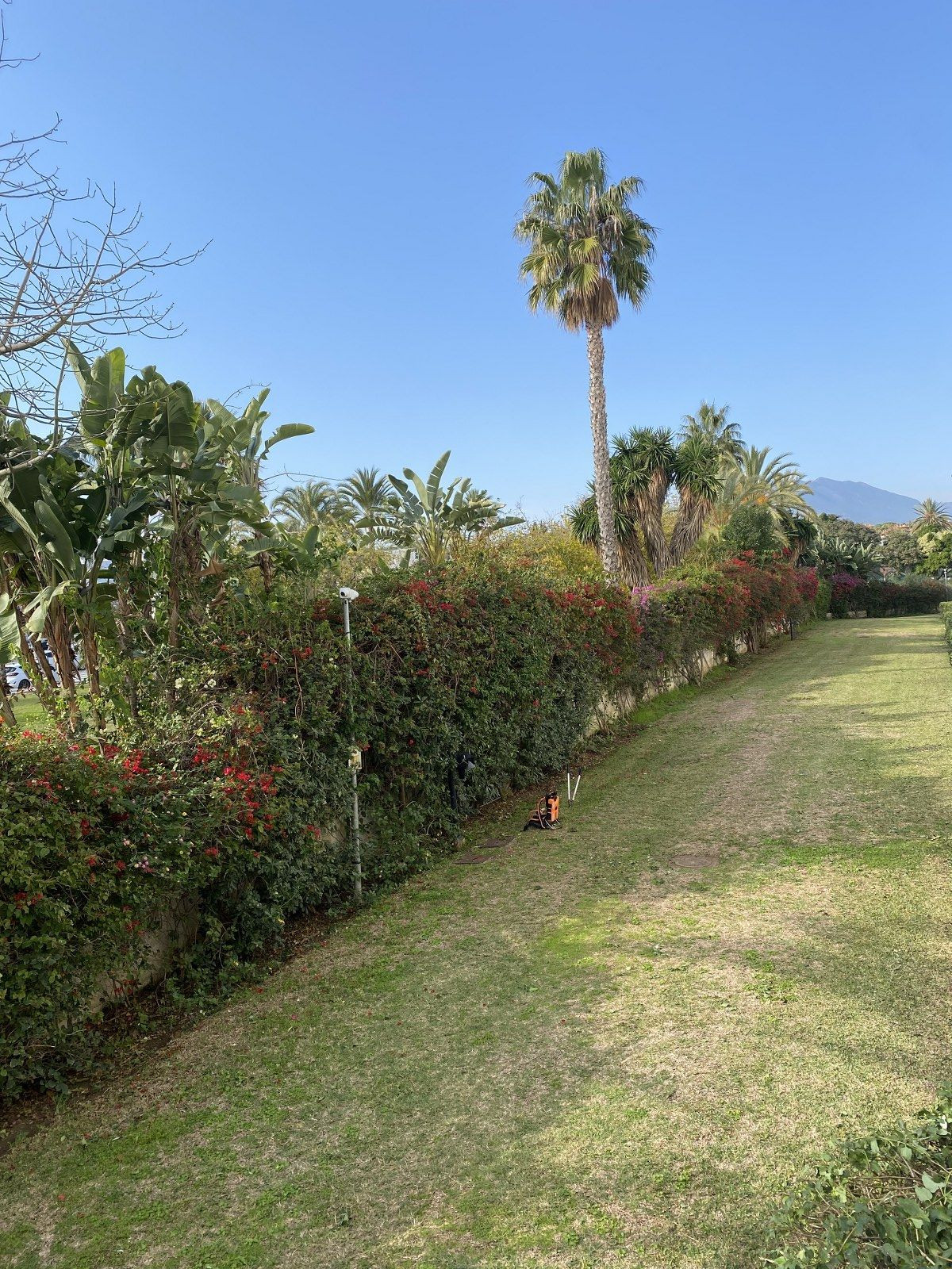 Se vende Apartamento Planta Baja de 2 dormitorios en Costa Del Sol, Málaga, España