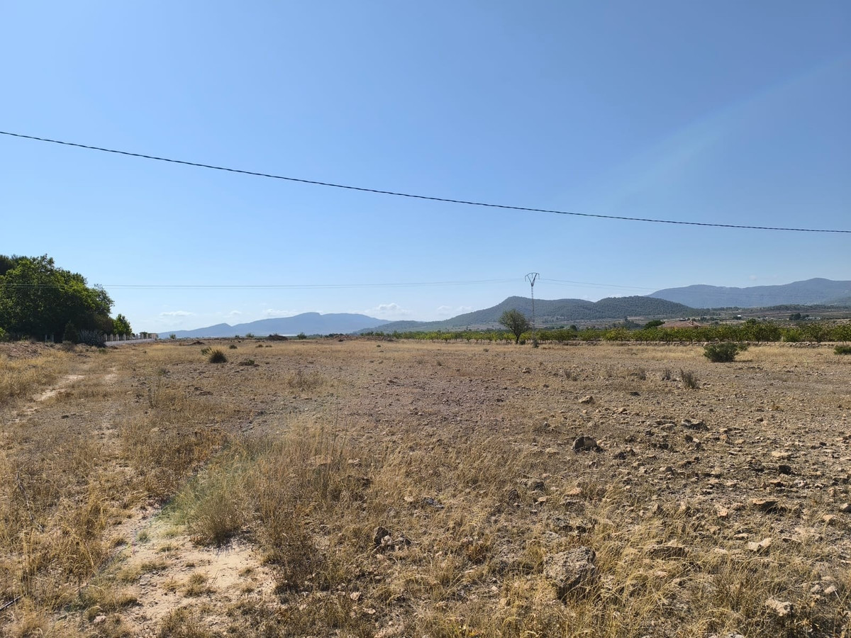 Se vende Terreno Rustico  en Costa Blanca, Alicante, España