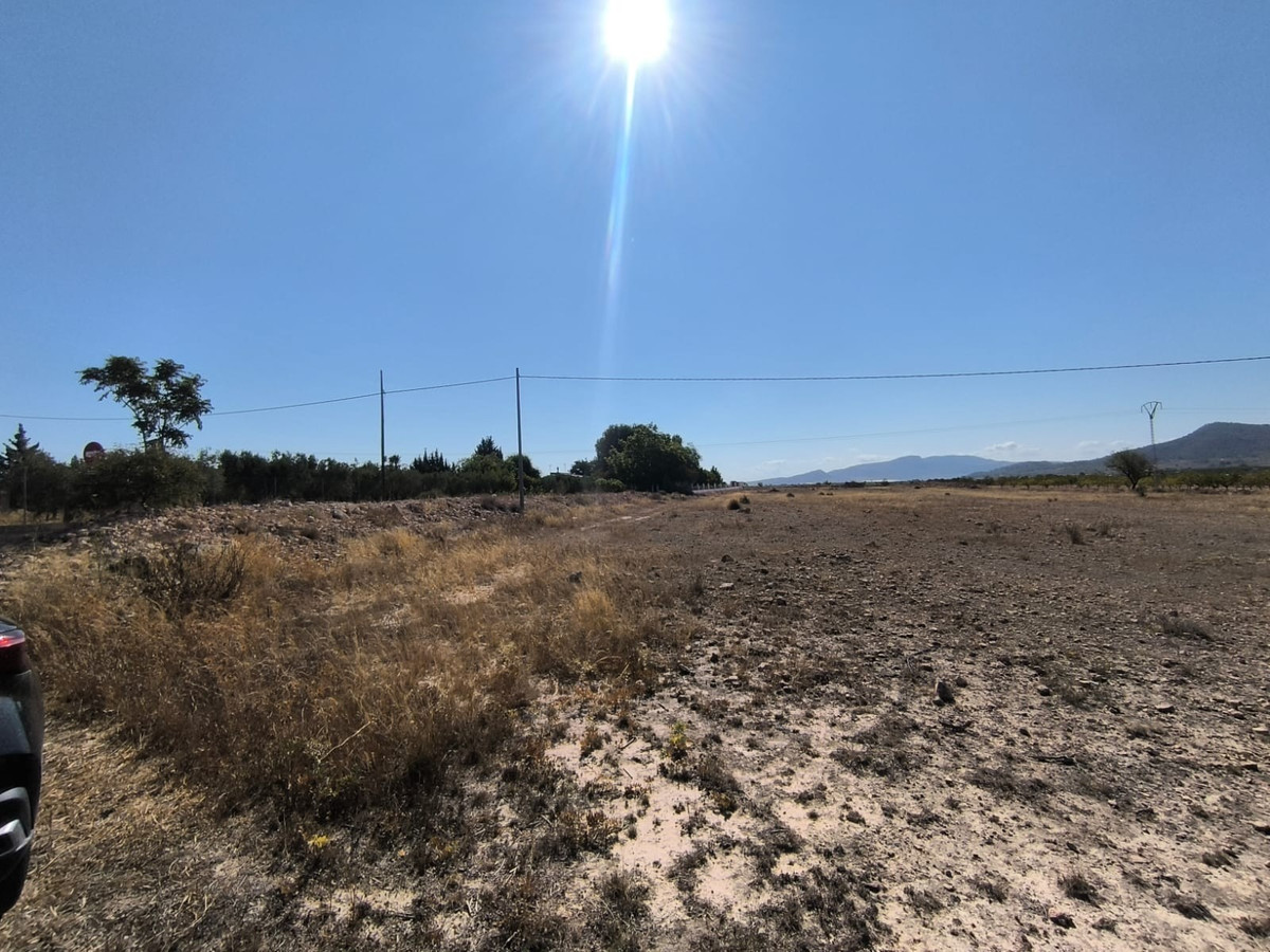 Se vende Terreno Rustico  en Costa Blanca, Alicante, España