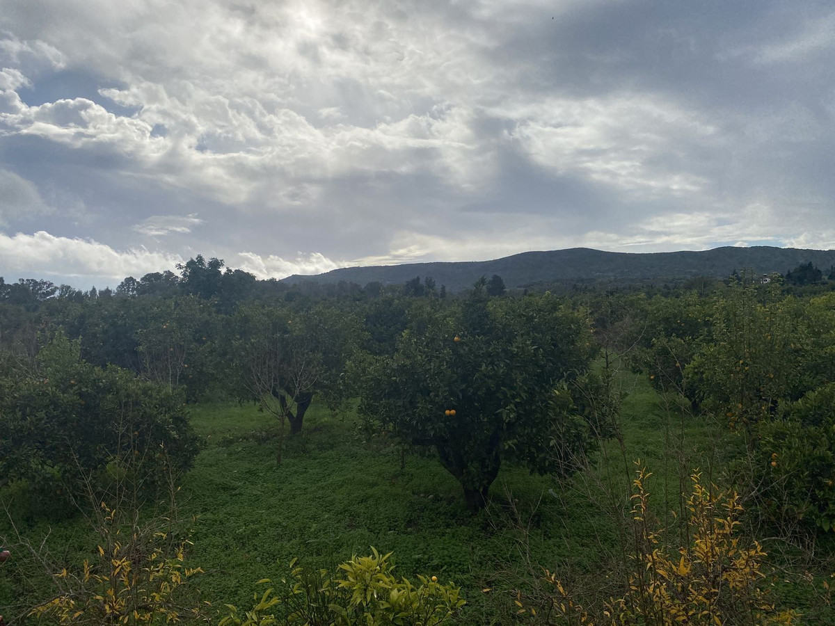 Se vende Terreno Rustico  en Costa Del Sol, Cadiz, España