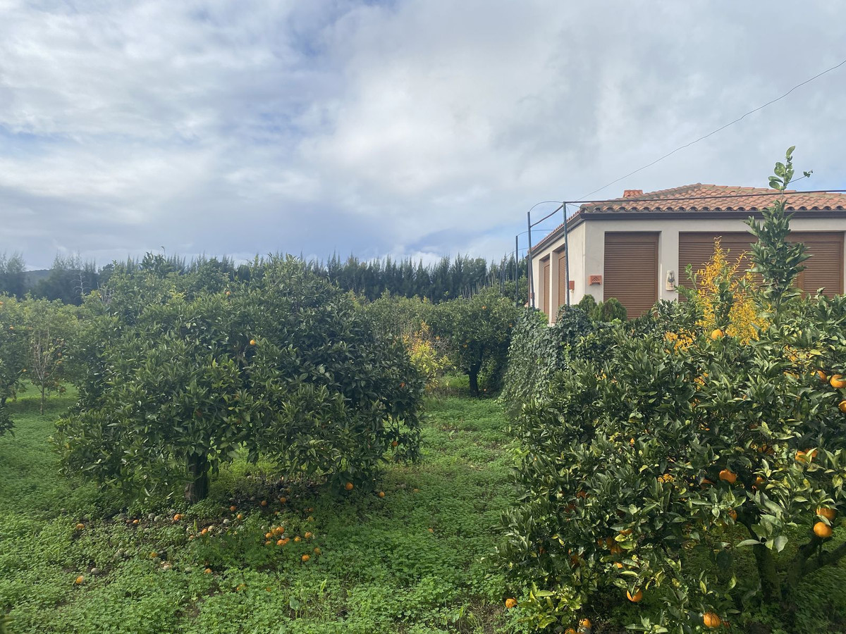 Se vende Terreno Rustico  en Costa Del Sol, Cadiz, España