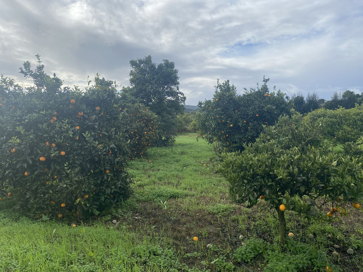 Se vende Terreno Rustico  en Costa Del Sol, Cadiz, España