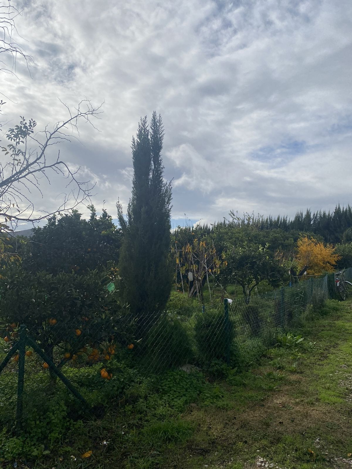 Se vende Terreno Rustico  en Costa Del Sol, Cadiz, España