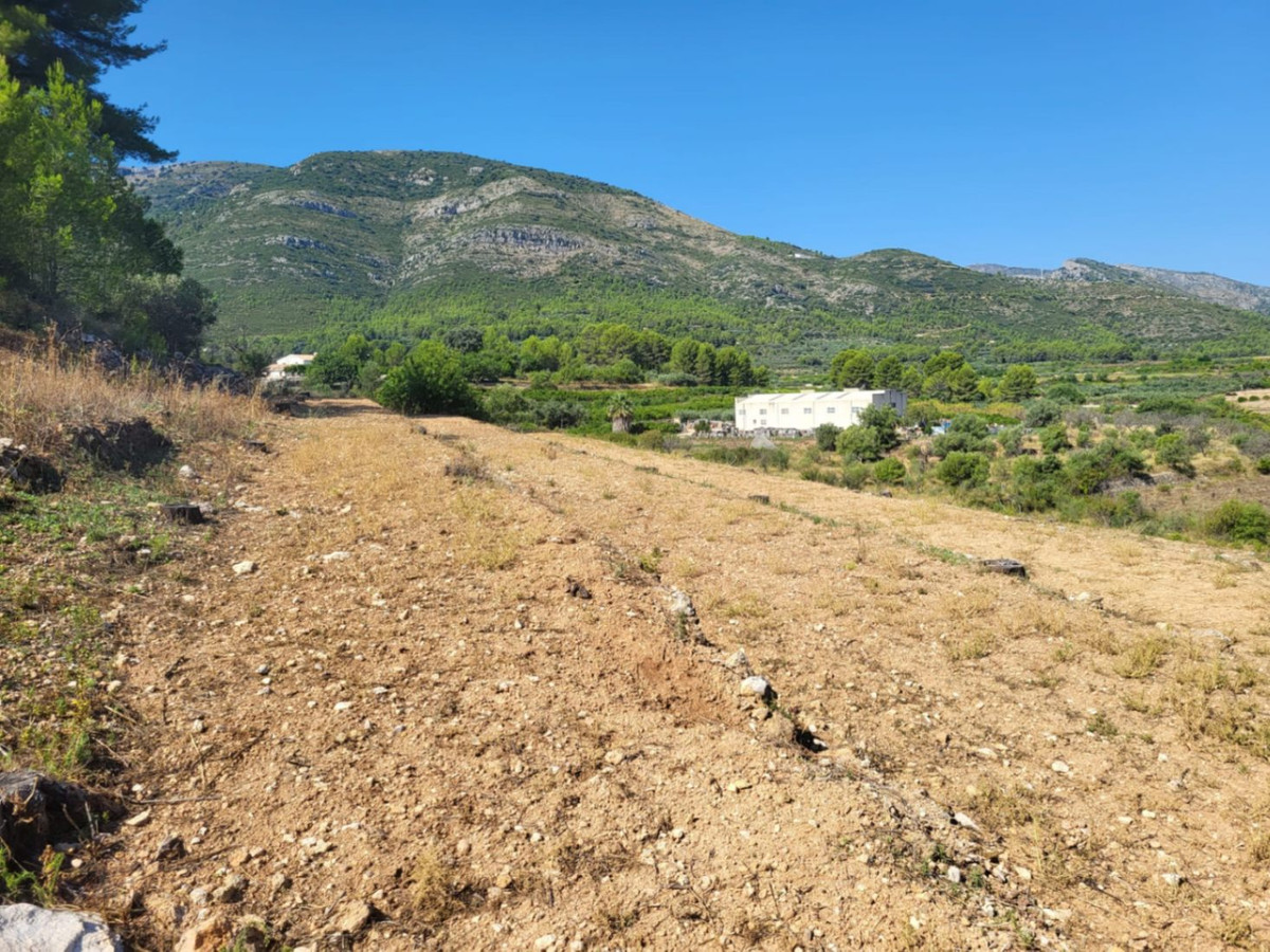 Se vende Terreno Rustico  en Costa Blanca, Alicante, España
