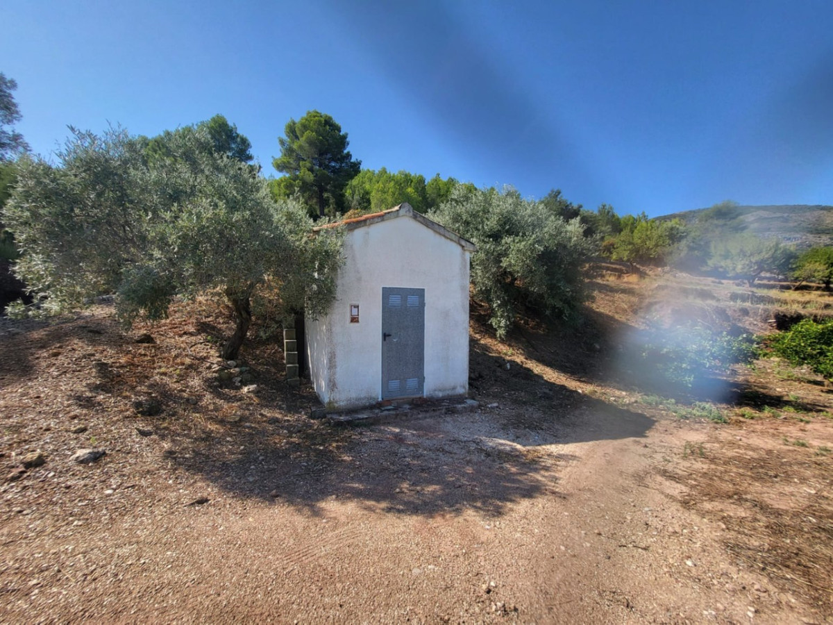Se vende Terreno Rustico  en Costa Blanca, Alicante, España