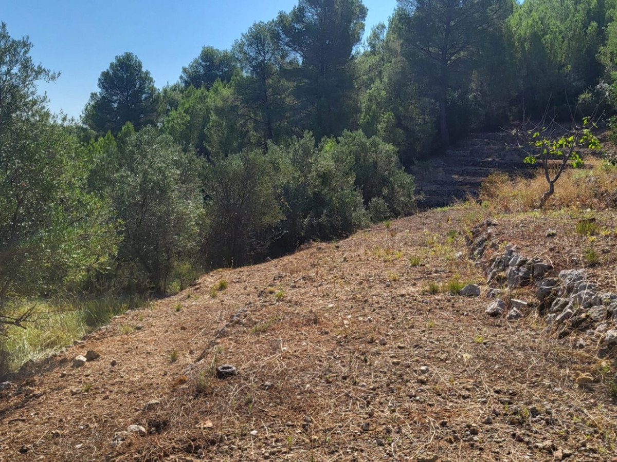 Se vende Terreno Rustico  en Costa Blanca, Alicante, España