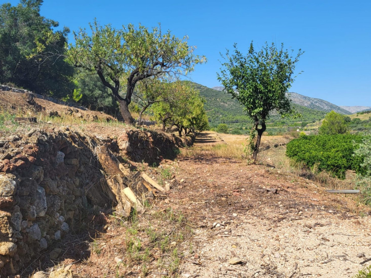 Se vende Terreno Rustico  en Costa Blanca, Alicante, España