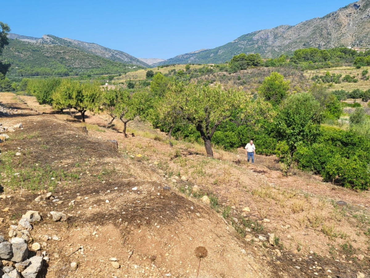 Se vende Terreno Rustico  en Costa Blanca, Alicante, España