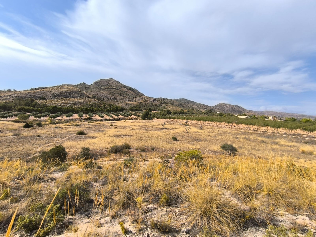 Se vende Terreno Rustico  en Costa Blanca, Alicante, España