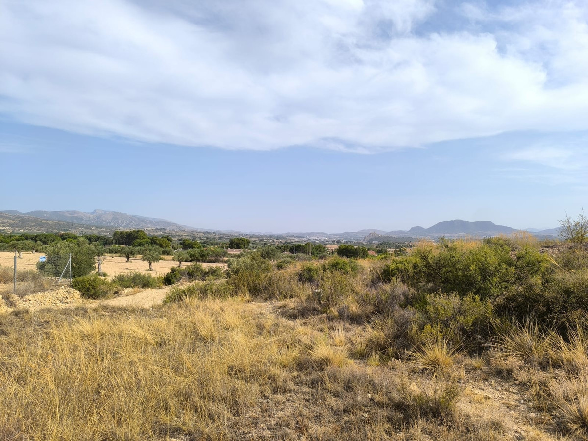 Se vende Terreno Rustico  en Costa Blanca, Alicante, España