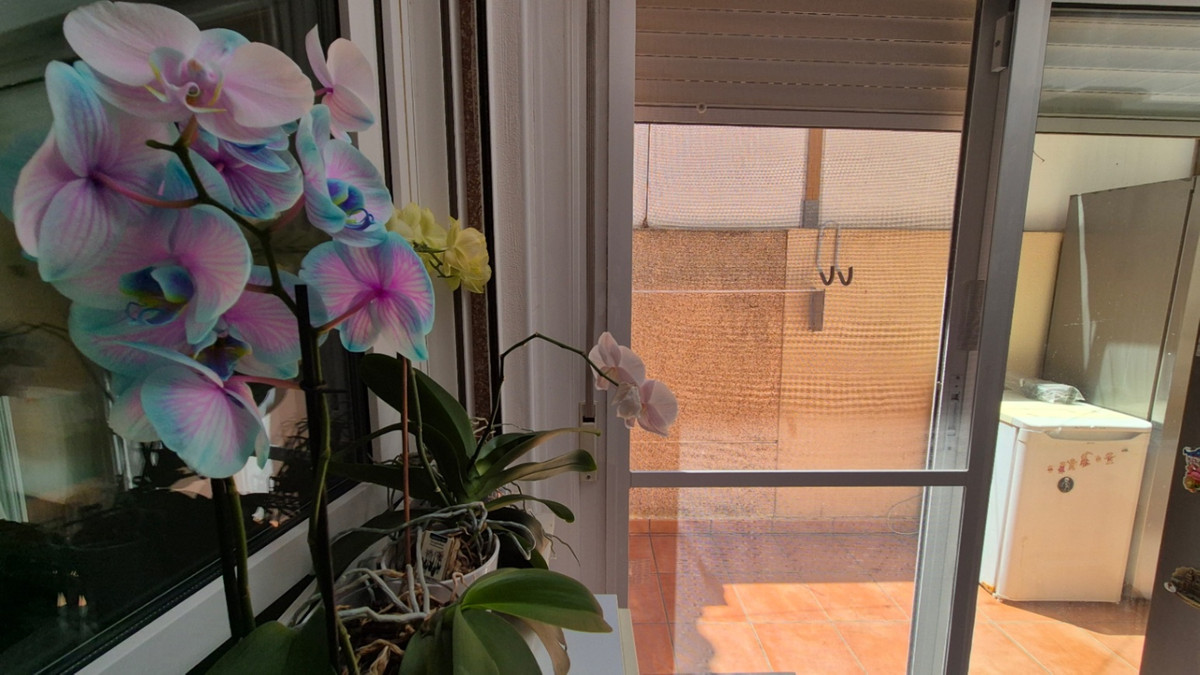 3 Bed Townhouse for sale in Torrevieja Costa Blanca, Alicante, Spain