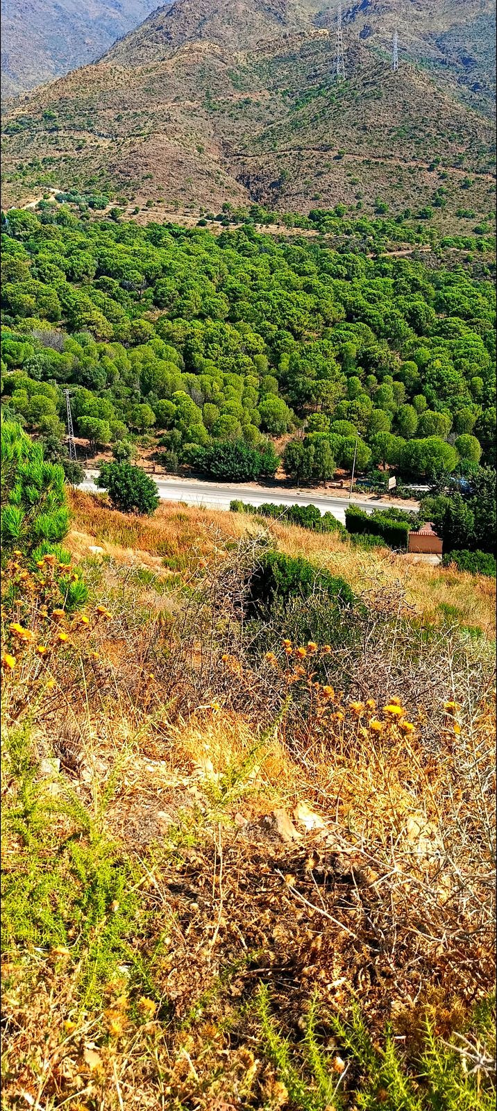 Plots for sale in Estepona Costa Del Sol, Málaga, Spain