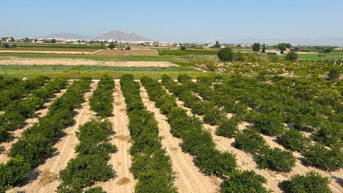 Se vende Bungalow de 2 dormitorios en Costa Blanca, Alicante, España