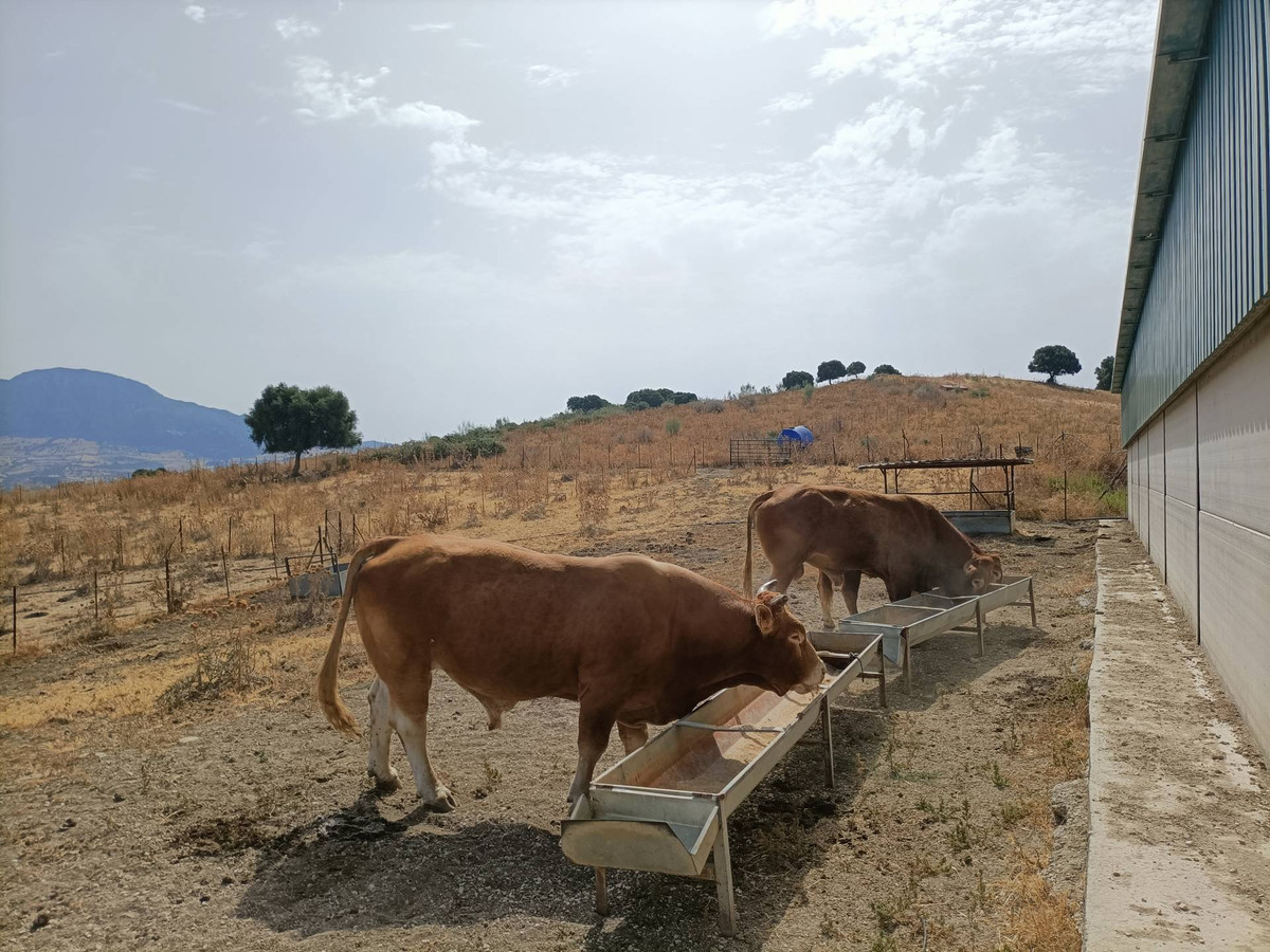 Se vende Granja  en Costa Del Sol, Málaga, España