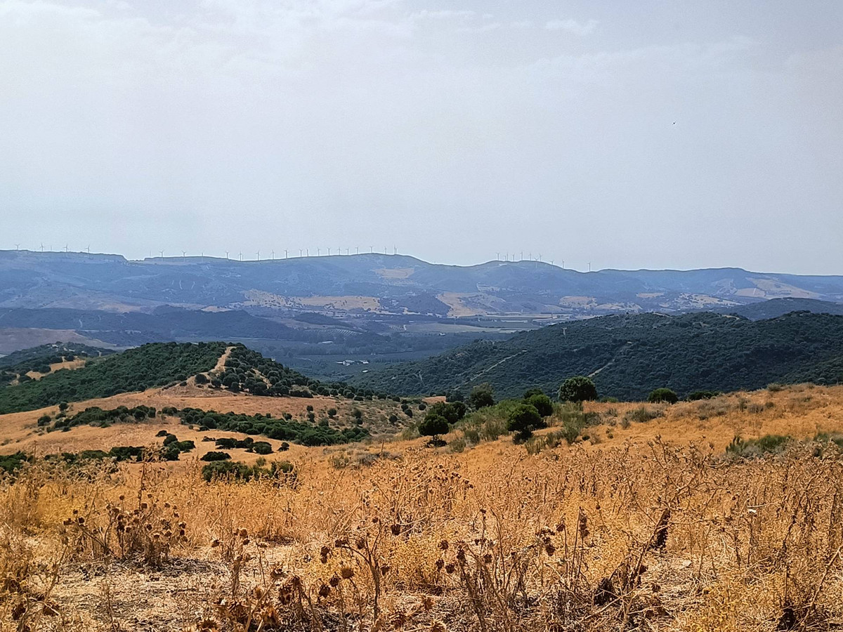 Se vende Granja  en Costa Del Sol, Málaga, España