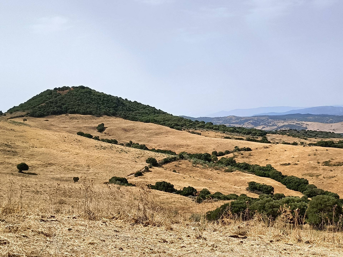 Se vende Granja  en Costa Del Sol, Málaga, España