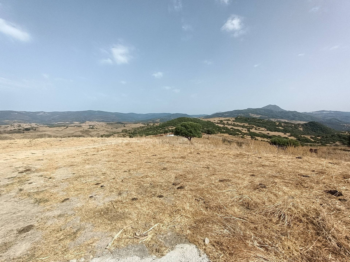 Se vende Granja  en Costa Del Sol, Málaga, España