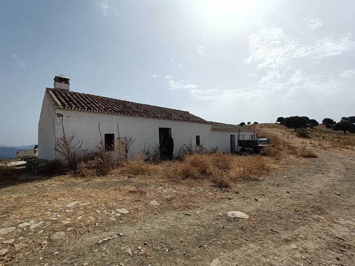 Se vende Granja  en Costa Del Sol, Málaga, España