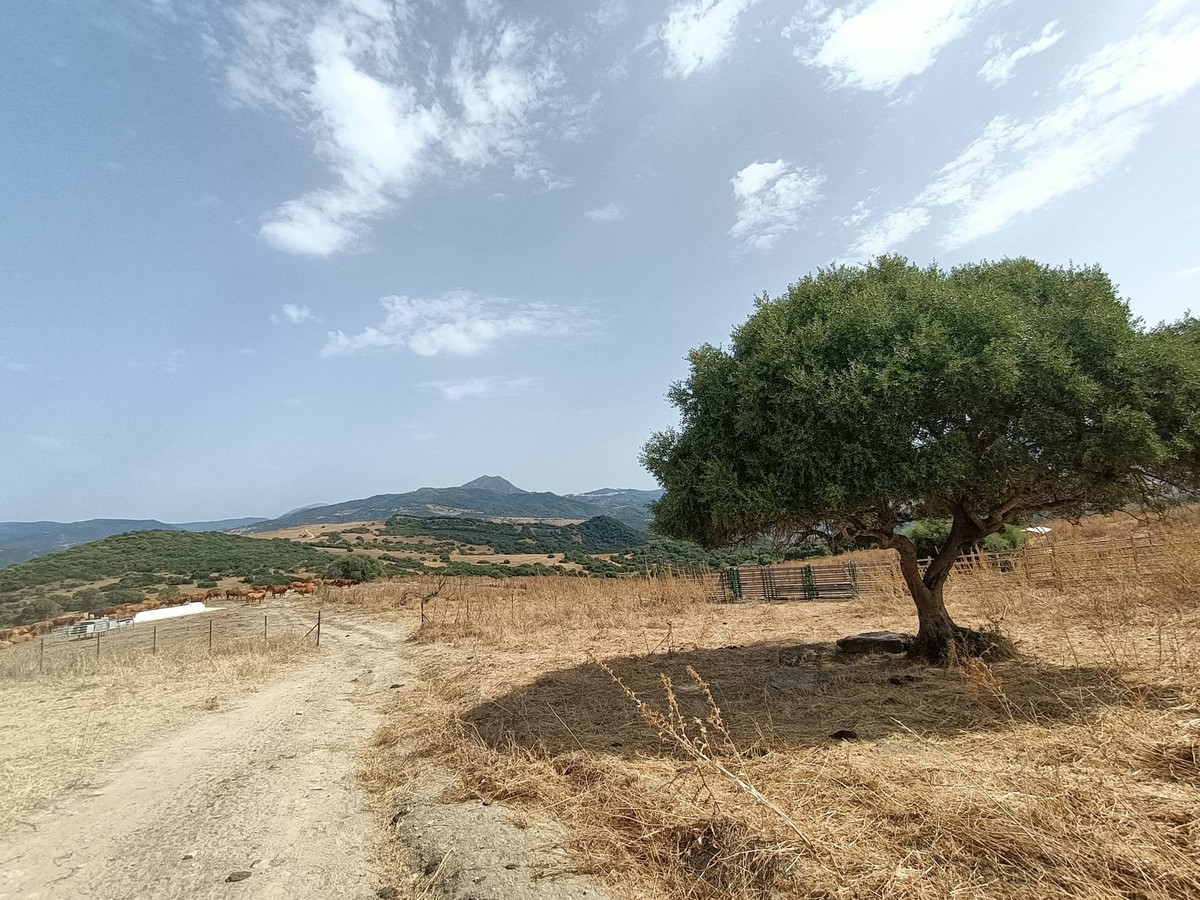 Se vende Granja  en Costa Del Sol, Málaga, España