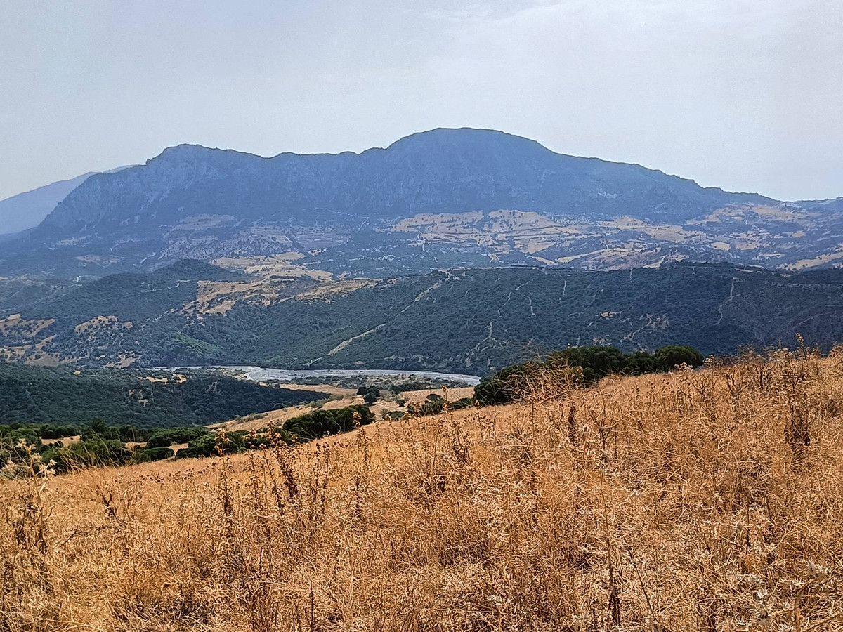 Se vende Granja  en Costa Del Sol, Málaga, España