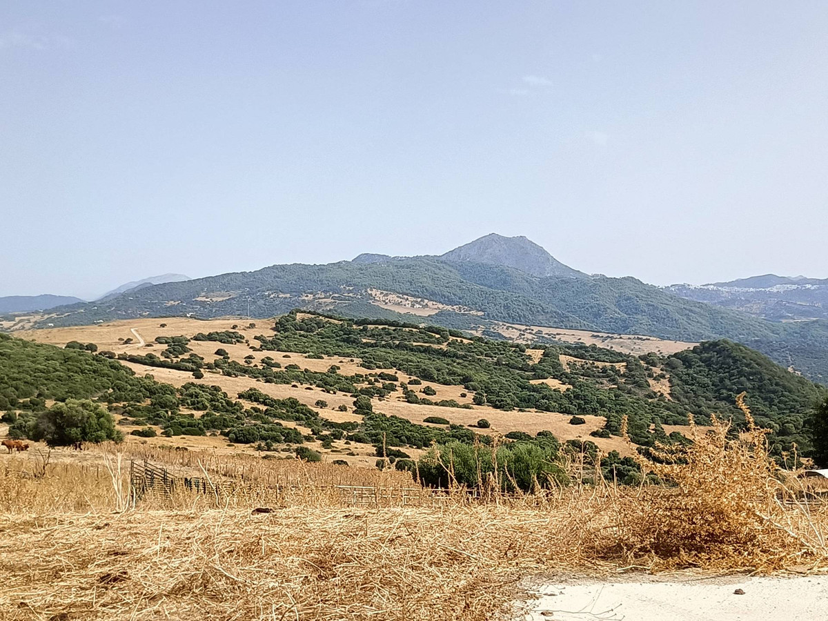 Se vende Granja  en Costa Del Sol, Málaga, España