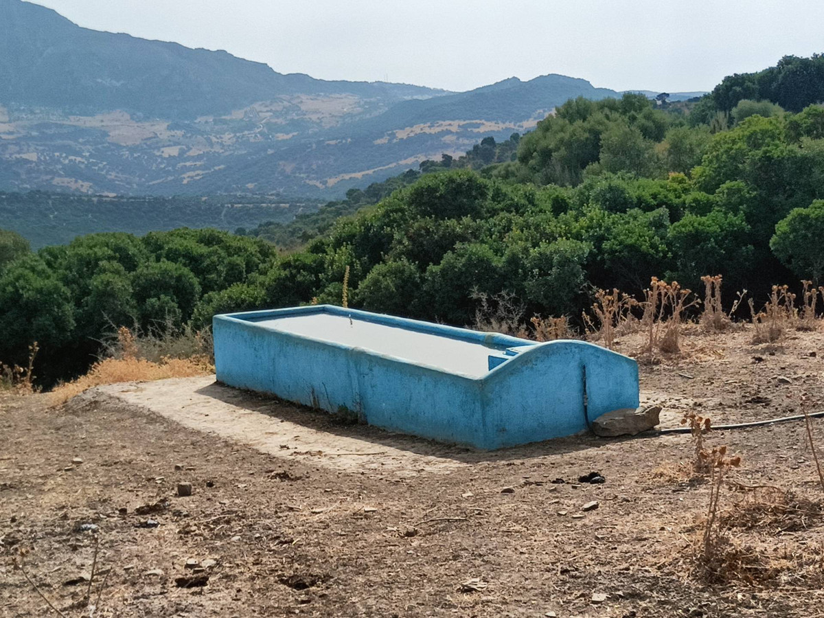 Se vende Granja  en Costa Del Sol, Málaga, España