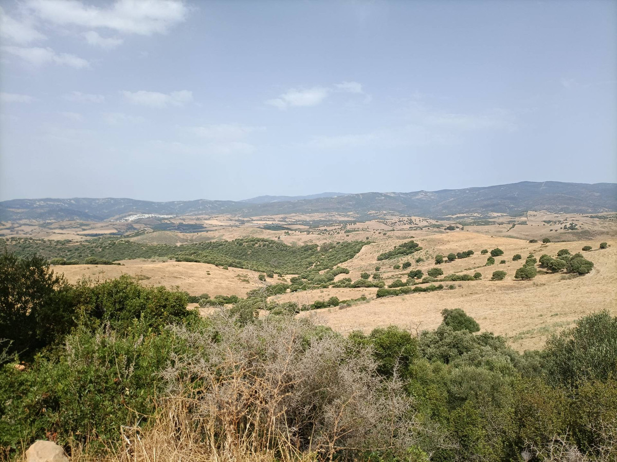 Se vende Granja  en Costa Del Sol, Málaga, España