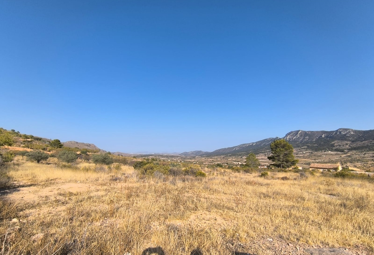 Se vende Terreno Rustico  en Costa Blanca, Alicante, España