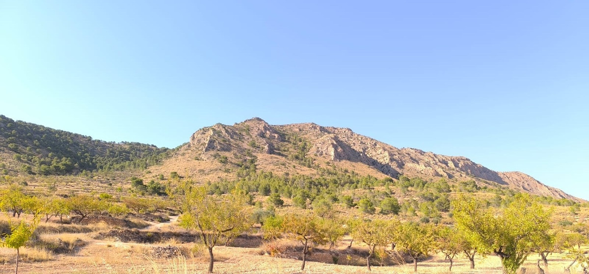 Se vende Terreno Rustico  en Costa Blanca, Alicante, España