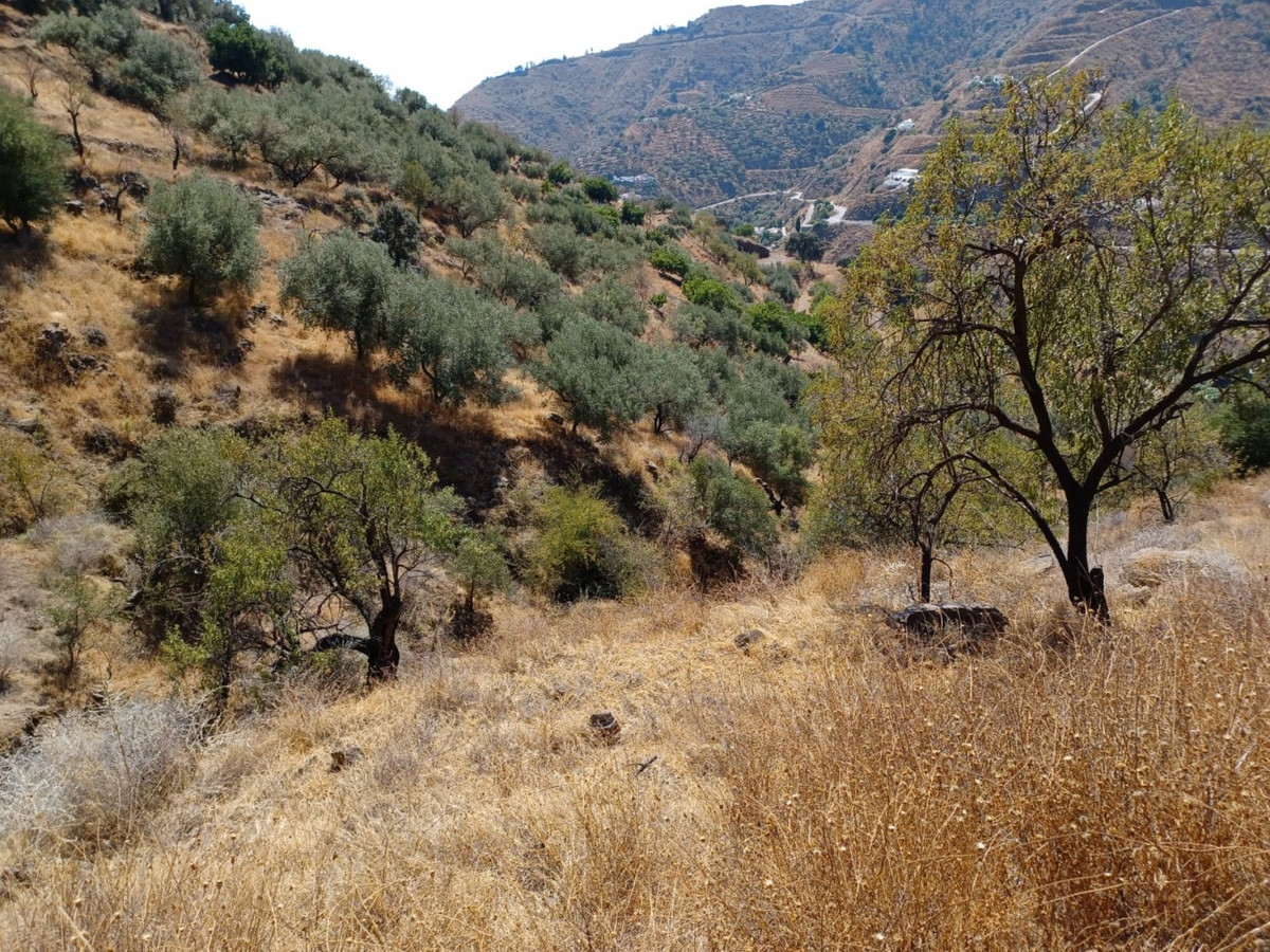 Se vende Terreno Rustico de 1 dormitorios en Costa Del Sol East, Málaga, España