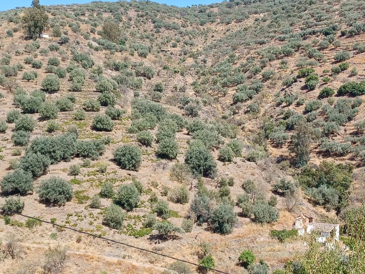 Se vende Terreno Rustico de 1 dormitorios en Costa Del Sol East, Málaga, España