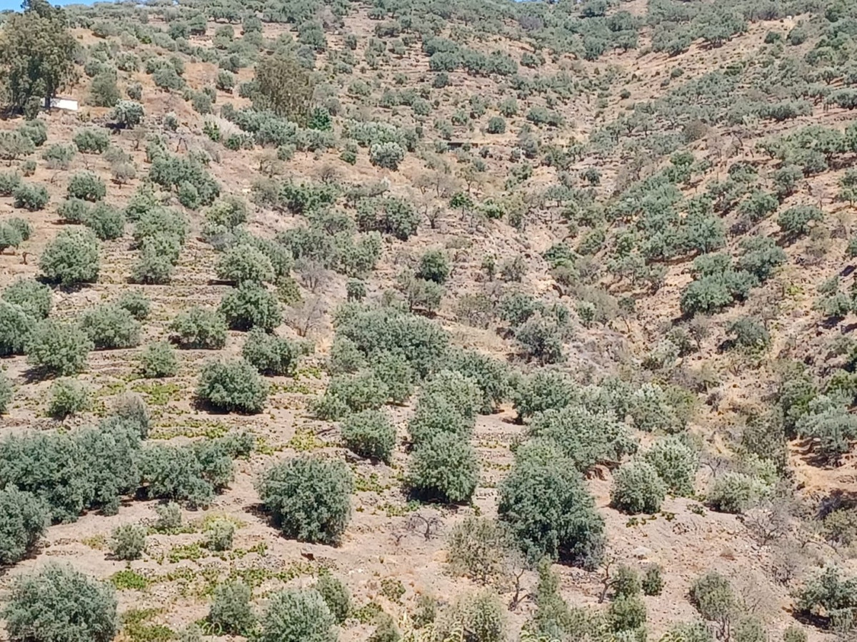 Se vende Terreno Rustico de 1 dormitorios en Costa Del Sol East, Málaga, España