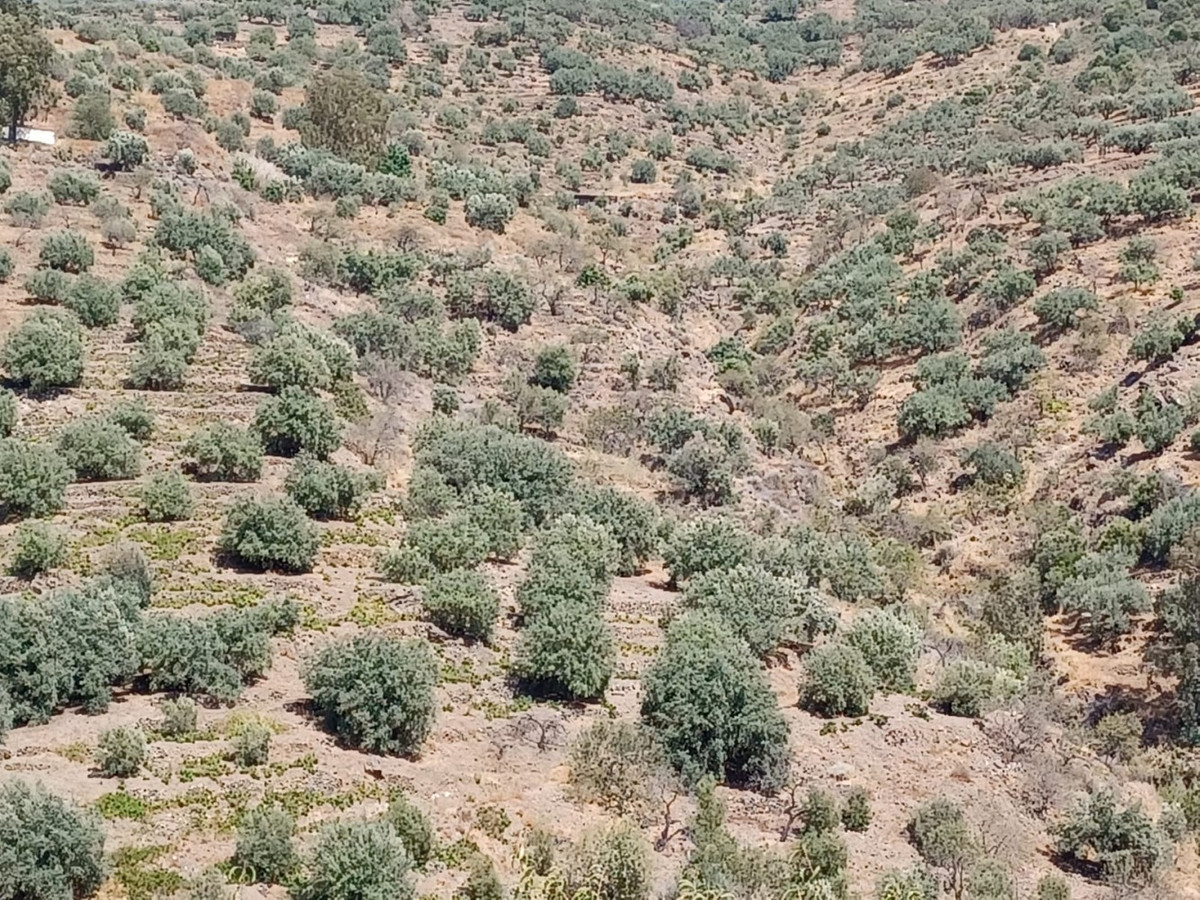 Se vende Terreno Rustico de 1 dormitorios en Costa Del Sol East, Málaga, España
