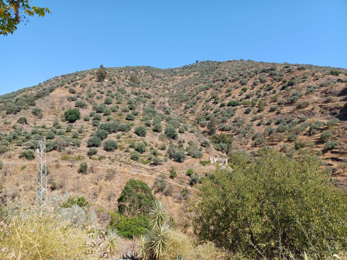 Se vende Terreno Rustico de 1 dormitorios en Costa Del Sol East, Málaga, España