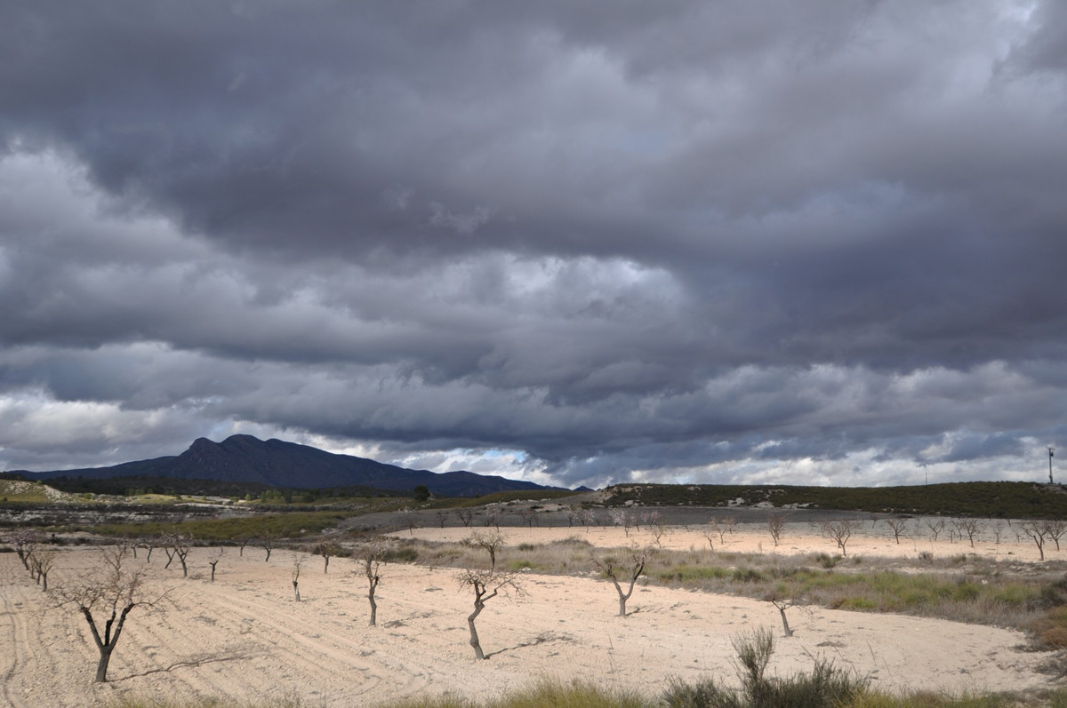 Se vende Finca - Cortijo de 6 dormitorios en Costa Calida, Murcia, España