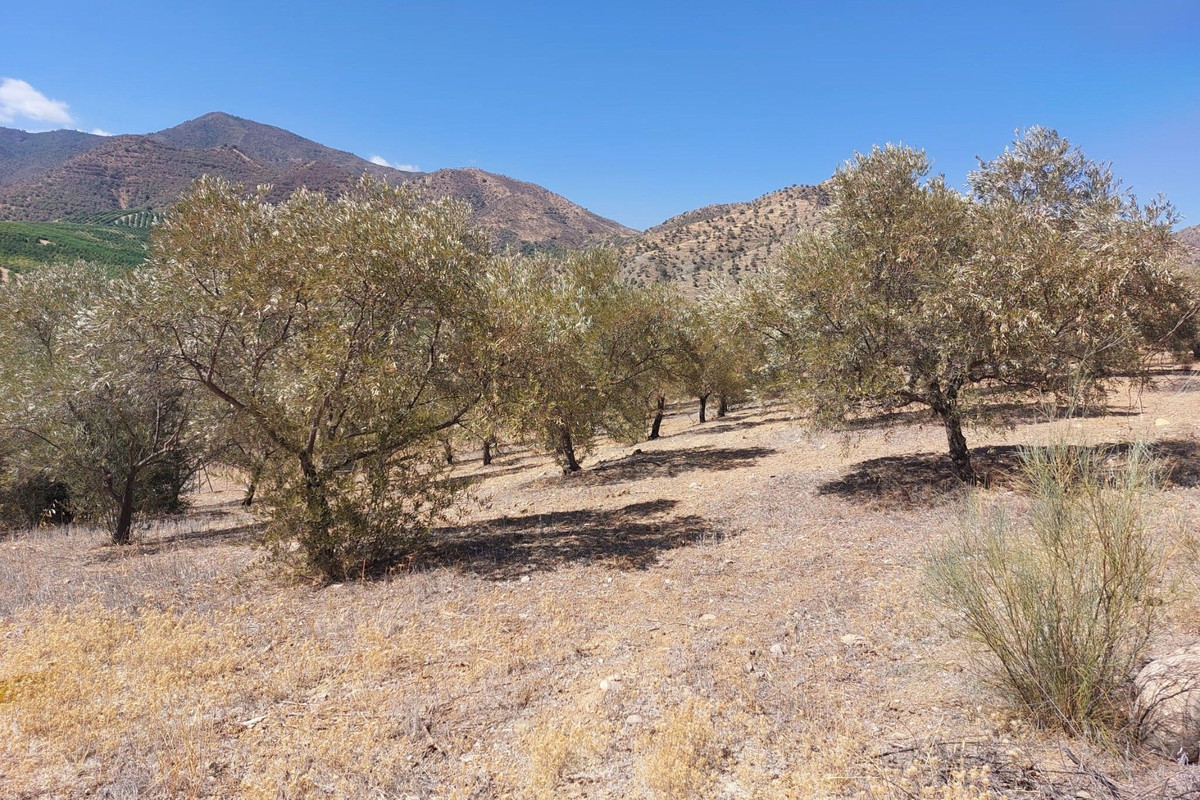 Se vende Terreno Rustico  en Costa Del Sol, Málaga, España