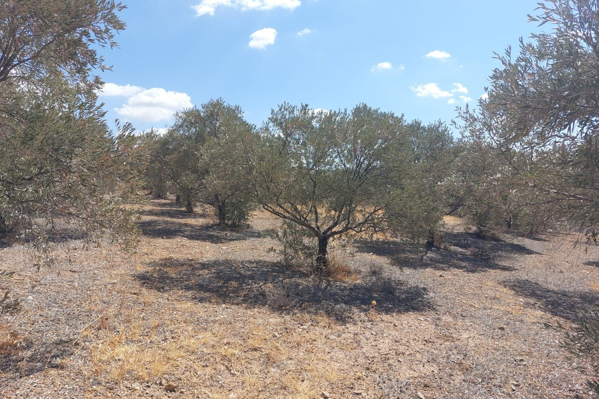 Se vende Terreno Rustico  en Costa Del Sol, Málaga, España