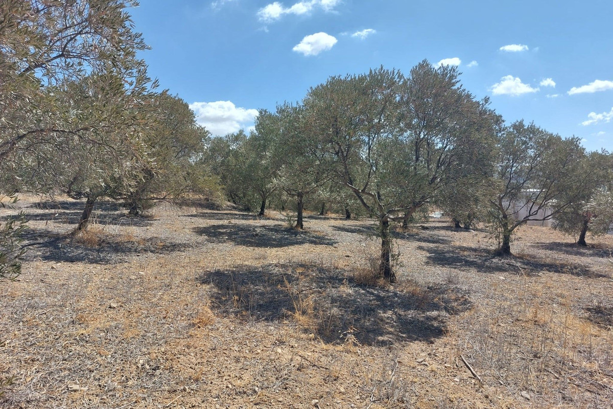 Se vende Terreno Rustico  en Costa Del Sol, Málaga, España