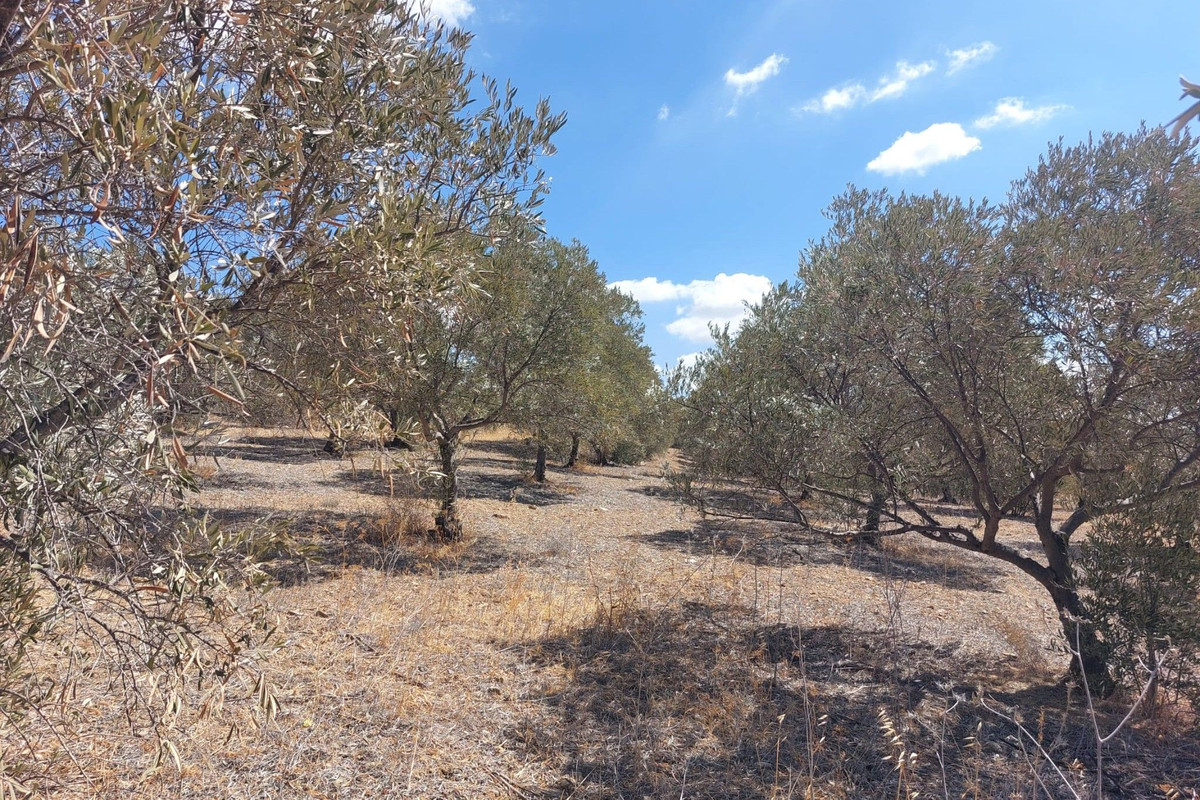 Se vende Terreno Rustico  en Costa Del Sol, Málaga, España